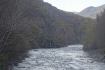 El río Noguera Pallaresa, abrazado por un hermoso bosque de ribera.