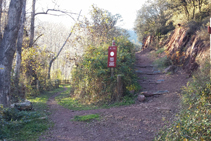 Cruce de caminos, seguimos a la izquierda.