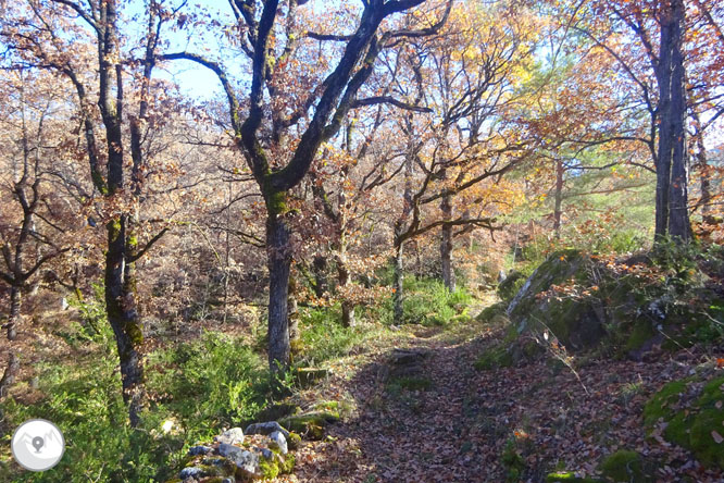 Tornafort y el valle de Siarb desde Sort 1 