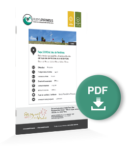 pdf-ruta