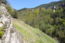 Bosque de ribera en el río de Aixirivall.