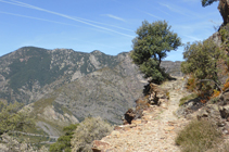 Camino de la Borda del Mas.