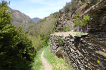 Muros de piedra seca en el camino de la Solana.