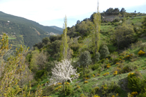 Bajando hacia Sant Julià.