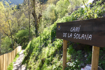 Camino de la Solana.