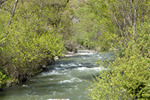 El río Valira a su paso por Aixovall.