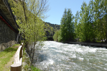 Bosque de ribera en el paseo Valira.