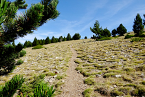 Camino de Bacanella.