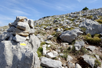 Prados alpinos en la sierra del Cadí.