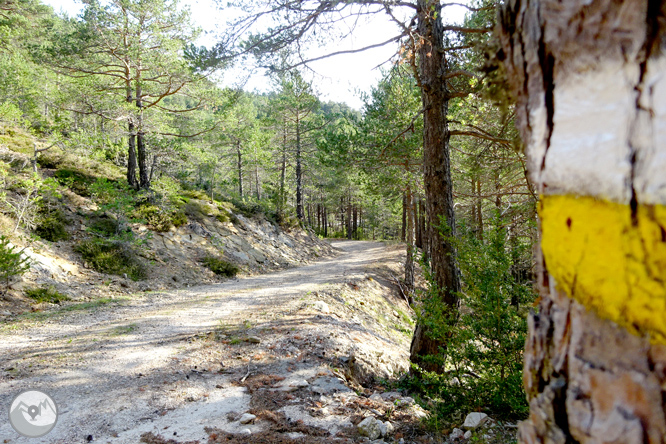 Ascensión a la Torreta de Cadí (2.562m) 1 