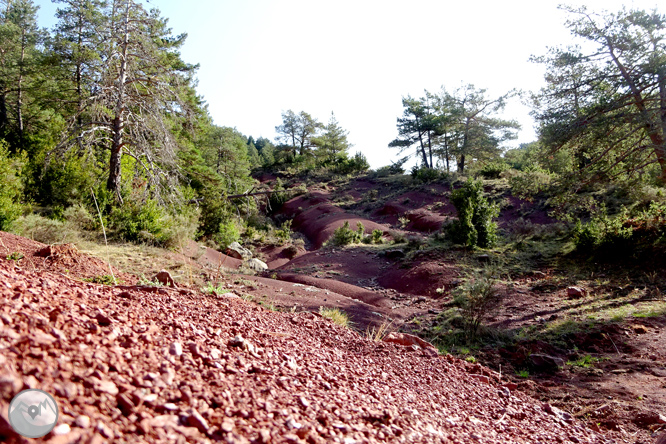 Ascensión a la Torreta de Cadí (2.562m) 1 