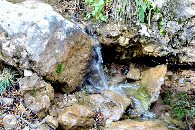 Ascensión a la Torreta de Cadí (2.562m) 1 