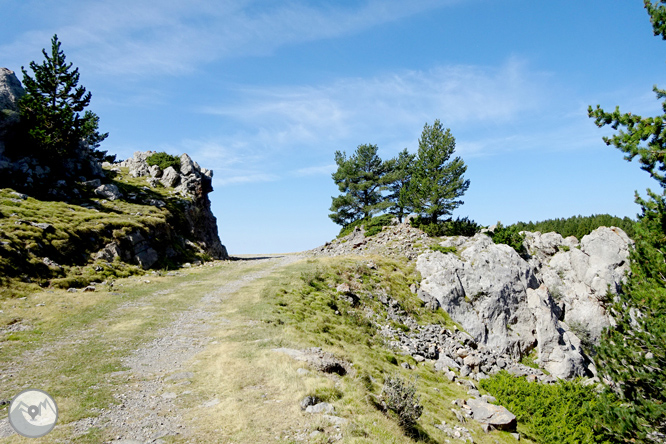 Ascensión a la Torreta de Cadí (2.562m) 1 