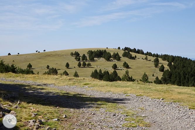 Ascensión a la Torreta de Cadí (2.562m) 1 