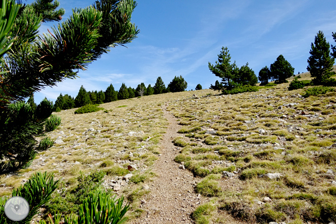 Ascensión a la Torreta de Cadí (2.562m) 1 