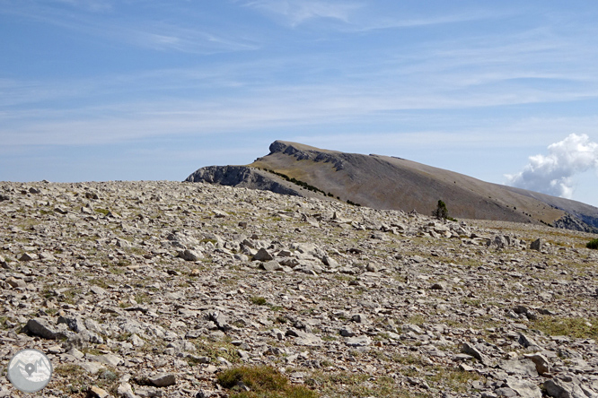 Ascensión a la Torreta de Cadí (2.562m) 1 