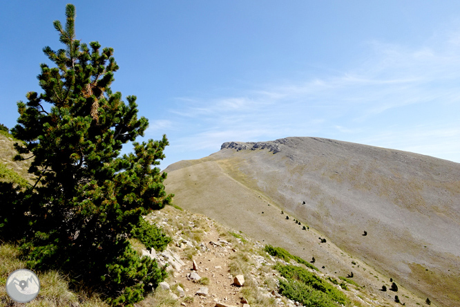 Ascensión a la Torreta de Cadí (2.562m) 1 