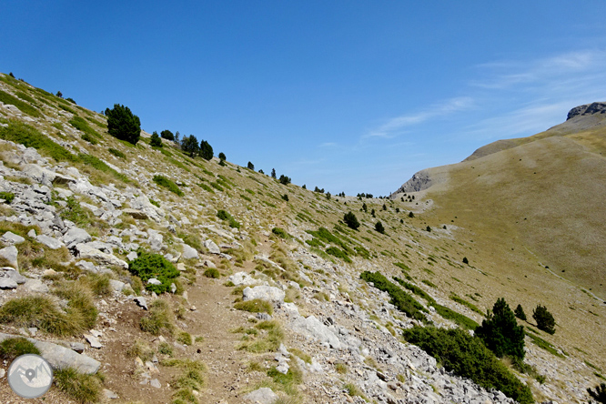 Ascensión a la Torreta de Cadí (2.562m) 1 