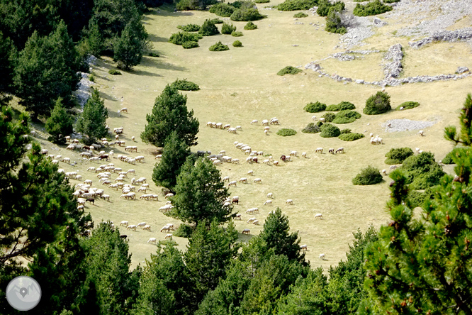 Ascensión a la Torreta de Cadí (2.562m) 1 