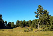 Los bonitos Planells de Les Collades.