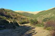 Vistas de la Coma-sarrera desde el bebedero.