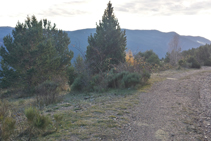 Tomamos un sendero muy poco definido a la izquierda.