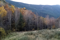 Prado de siega y bosque de ribera.