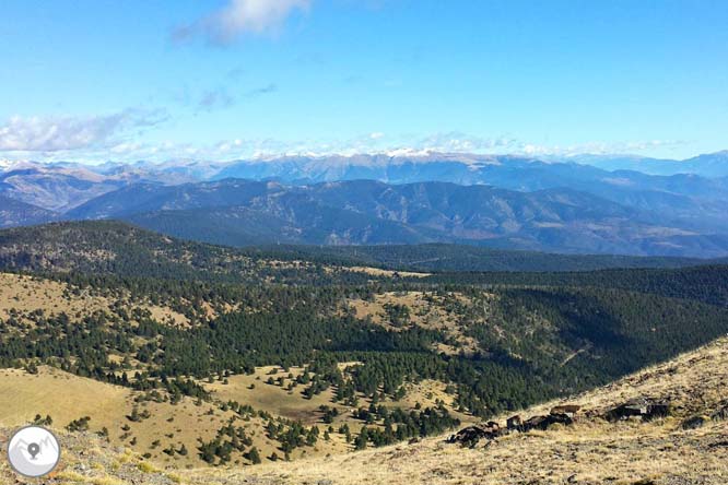 Torreta del Orri (2.439m) desde Llagunes 1 