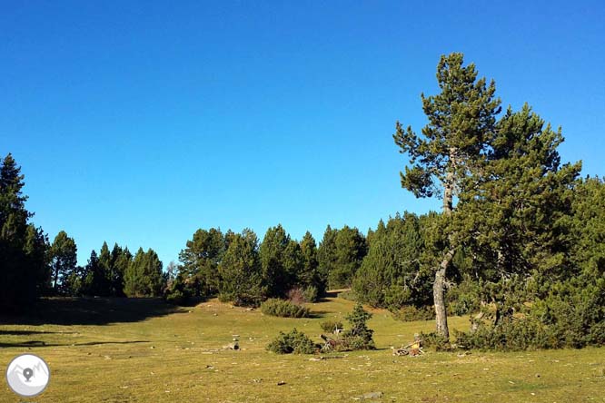 Torreta del Orri (2.439m) desde Llagunes 1 