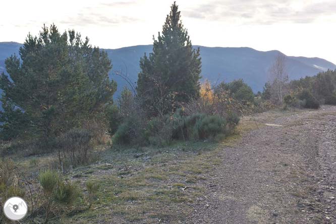 Torreta del Orri (2.439m) desde Llagunes 1 