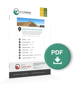 pdf-ruta
