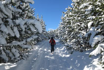 Bonito paisaje invernal con los árboles cargados de nieve.