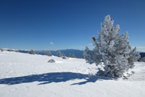 La parte alta del macizo del Orri recibe abundantes nevadas a lo largo del invierno.