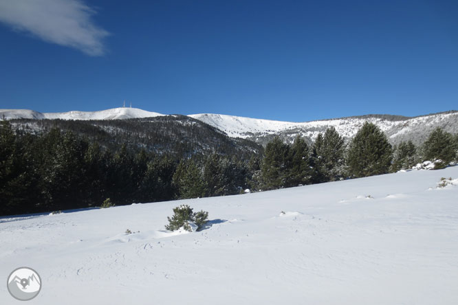 Torreta del Orri (2.439m) por las Comes de Rubió 1 