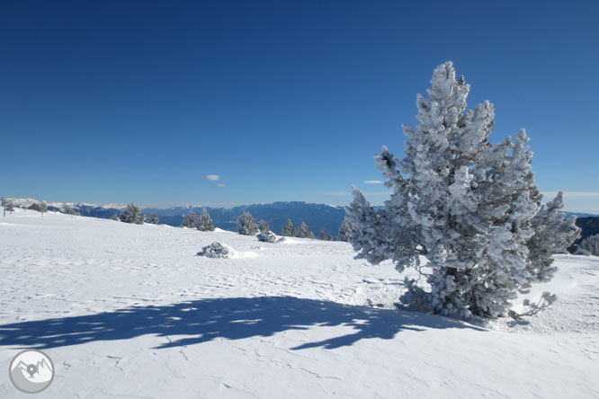 Torreta del Orri (2.439m) por las Comes de Rubió 1 