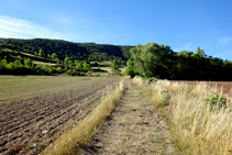 Pasamos por entre unos campos.