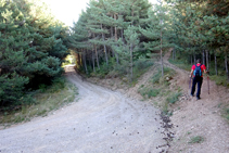 En una curva coincidimos con una pista ancha. Nosotros continuamos por el sendero (derecha).