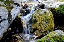 Arroyo de Fontllebrera.