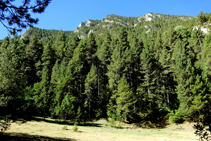 La vertiente occidental del valle.