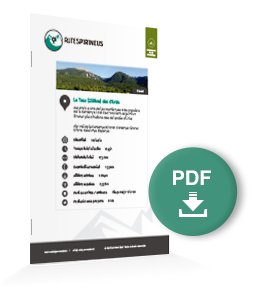 pdf-ruta