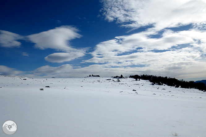 Tossa Plana de Lles (2.905m) desde el Pradell 1 