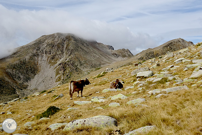 Tossa Plana de Lles (2.905m) desde el Pradell 1 