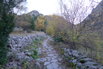 Vamos ascendiendo por un camino empedrado.