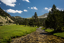 Llegamos a un llano que nos ofrece estampas de una belleza inigualable.