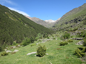 Valle de Riqüerna y camino de Rus desde Capdella