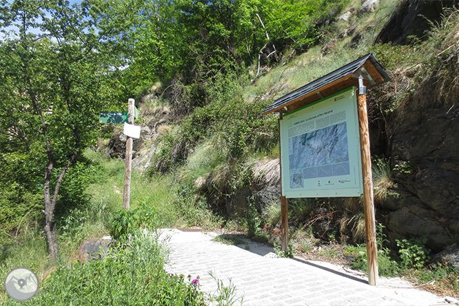 Valle de Riqüerna y camino de Rus desde Capdella 1 