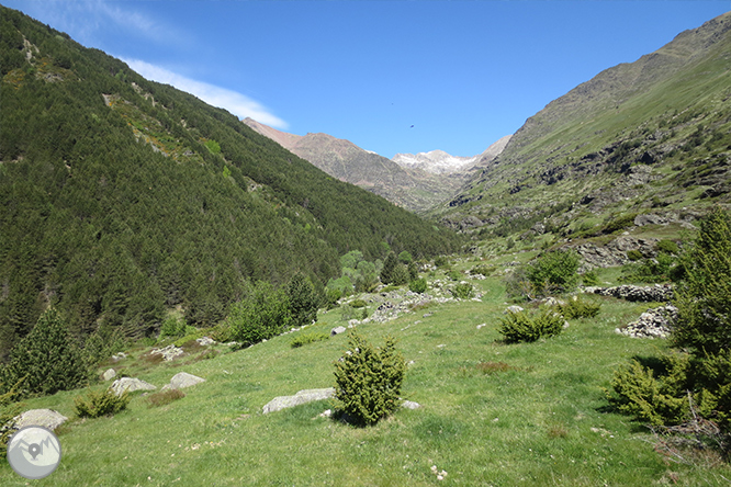 Valle de Riqüerna y camino de Rus desde Capdella 1 