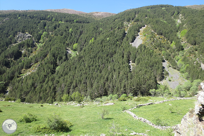 Valle de Riqüerna y camino de Rus desde Capdella 1 