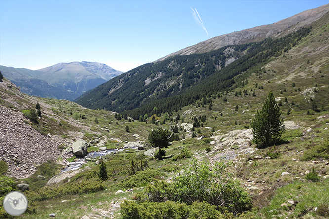 Valle de Riqüerna y camino de Rus desde Capdella 1 