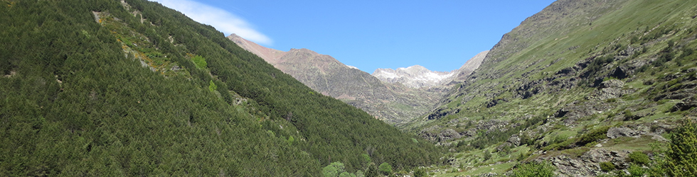 Valle de Riqüerna y camino de Rus desde Capdella